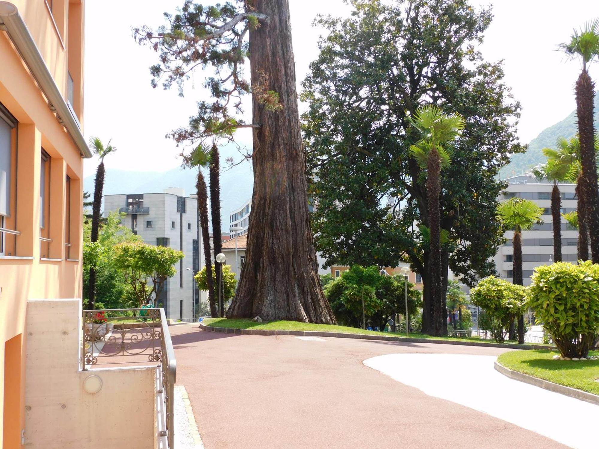 Casa Santa Birgitta Hotel Lugano Exterior photo